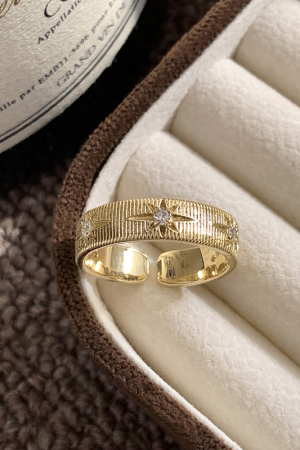 2025 French Minimalist Versatile Brushed Hollow Leaf Four Grass Ring for Women - High-End Index Finger Jewelry