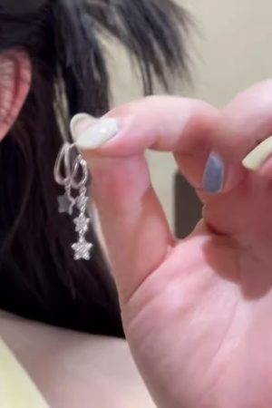 925 Silver Star Tassel Earrings - Minimalist High-End Ear Hole Studs, Fashionable Light Luxury Niche Accessories