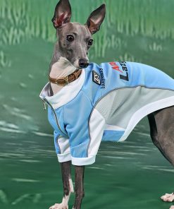 Color-Block Sports Jacket for Pets - Stylish Collaborative Design in Trendy Colors, Perfect for Active Pets and Outdoor Adventures