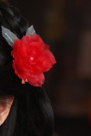 Ethereal Silk Embossed Hair Clips, Ancient Style Hair Accessories for Brides, Red Cheongsam Horse-Face Skirt, Chinese Style Headdress
