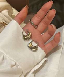 Fan-Shaped Metal Ear Clips - Korean Style, Minimalist Versatile Earrings for a High-End Niche Look