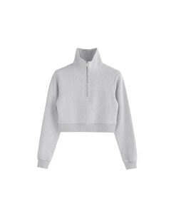 Half-Zip American Style Hoodie - Roaring Beast Design for Autumn/Winter 2025, Trendy Streetwear Inspired by 90s and Y2K Fashion