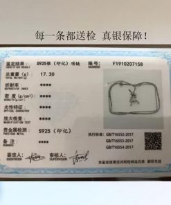 Korean Style TikTok Long Bracelet for Women, 2025 Pure Silver Clavicle Chain with Fairy Rabbit Design, Sweet and Cute Accessory