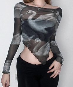 Light Academia Outfit Dress, Modest Fashion Outfits - Swan Graphic Asymmetrical Mesh Top