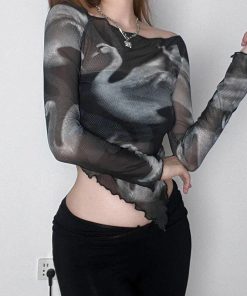 Light Academia Outfit Dress, Modest Fashion Outfits - Swan Graphic Asymmetrical Mesh Top