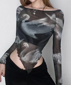 Light Academia Outfit Dress, Modest Fashion Outfits - Swan Graphic Asymmetrical Mesh Top