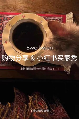 Limited Edition 5werkwen Shopping Event: Trendy Xiaohongshu Inspired T-Shirt, Perfect for 90s Y2K Style Lovers