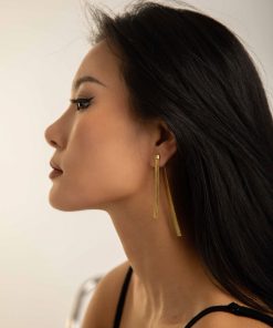 Long Metal Snake Bone Chain Front and Back Wear Ear Studs - European American Style 18K Gold Earrings for Trendy Fashion