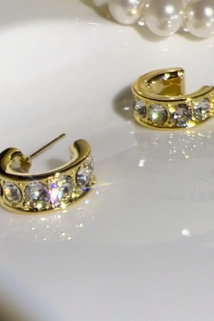 Luxury Exquisite Zircon Small Niche Design High-End 925 Pure Silver Needle Earrings for Elegant Fashion Statement