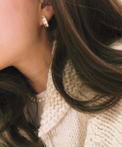 Luxury Exquisite Zircon Small Niche Design High-End 925 Pure Silver Needle Earrings for Elegant Fashion Statement