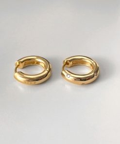 Minimalist 2025 Sterling Silver Hoop Earrings, Niche Design, High-End Women's Ear Accessories