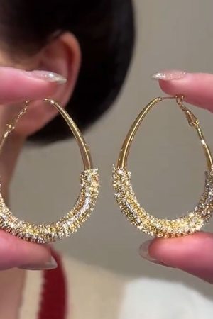 Minimalist Oval Metal Ear Hoops with Micro-Inlaid Zircon - Niche Drop Earrings for Women, Flattering for Round Faces, European & American Style