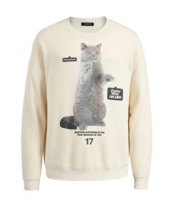 Pet Blue Cat Pullover Sweatshirt - Trendy Loose Fit Round Neck Top for Couples - Spring Fashion, Cute Graphic Design