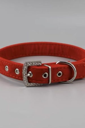 Red Velvet Choker Necklace for Y2K Style | Minimalist Collarbone Chain Accessory for Cool Girls and New Year Fashion