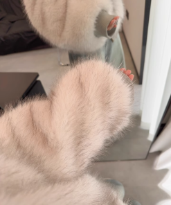 Reversible Hooded Cardigan Coat with Ultra-Faux Fox Fur Collar, All-Fur Lined, Pumpkin Color, Korean Style Fashion Outerwear