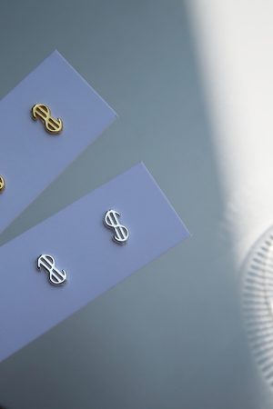 S925 Pure Silver Dollar Sign Earrings for Women - Trendy Minimalist Fashion Ear Accessories 2025