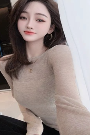 Slim-Fit Sheer Mesh Long Sleeve T-Shirt for Women - Stylish Base Layer Top for Spring and Autumn 2025