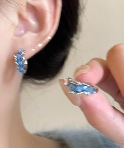 Trendy Blue Hoop Earrings for Women, 2025 Unique Design, High-End Studs, Personalized Ear Accessories for Fashion Lovers
