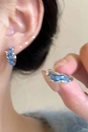 Trendy Blue Hoop Earrings for Women, 2025 Unique Design, High-End Studs, Personalized Ear Accessories for Fashion Lovers