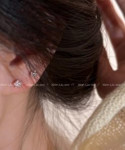 Trendy Five-Pointed Star Earrings for Women - 2025 Light Luxury Ear Accessories with High-End Appeal
