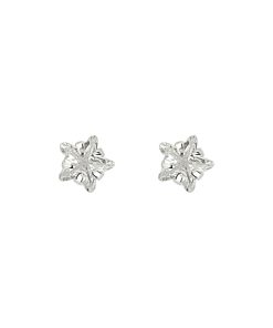 Trendy Five-Pointed Star Earrings for Women - 2025 Light Luxury Ear Accessories with High-End Appeal