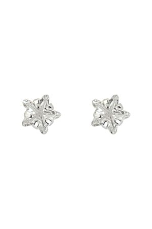 Trendy Five-Pointed Star Earrings for Women - 2025 Light Luxury Ear Accessories with High-End Appeal