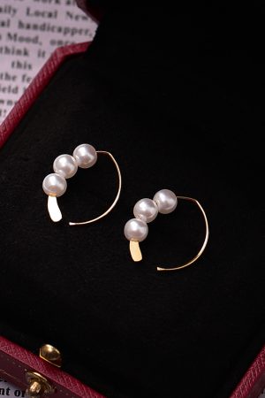 Trendy Hook Earrings for Women - Simple Studs, 2025 Autumn Winter Fashion, High-End Niche Ear Accessories