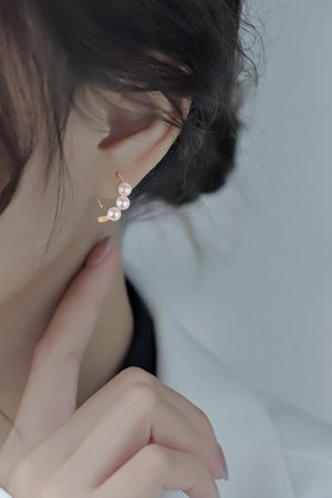 Trendy Hook Earrings for Women - Simple Studs, 2025 Autumn Winter Fashion, High-End Niche Ear Accessories