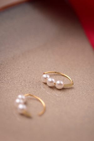Trendy Hook Earrings for Women - Simple Studs, 2025 Autumn Winter Fashion, High-End Niche Ear Accessories