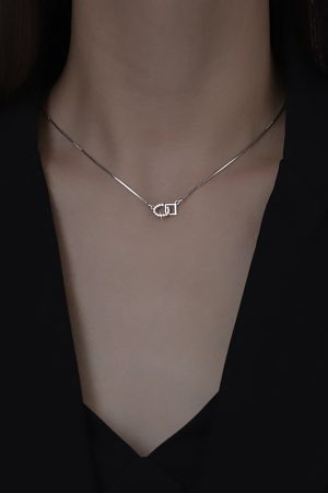 Trendy Light Luxury Clavicle Chain Necklace - 2025 French Niche Design Accessory for Elegant Style