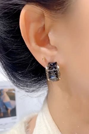 Trendy Ultra-Shiny Black Zircon Earrings for Women - Lightweight Luxury Design for Autumn and Winter Fashion