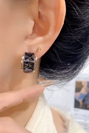 Trendy Ultra-Shiny Black Zircon Earrings for Women - Lightweight Luxury Design for Autumn and Winter Fashion