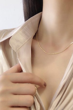 Ultra-Fine Minimalist Snake Bone Necklace â€“ Elegant Light Luxury Clavicle Chain for Everyday Wear, High-End Fashion Accessory