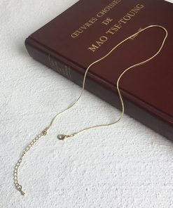 Ultra-Fine Minimalist Snake Bone Necklace â€“ Elegant Light Luxury Clavicle Chain for Everyday Wear, High-End Fashion Accessory