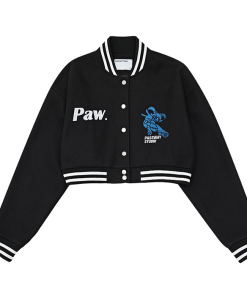 Vintage-Inspired Short Baseball Jacket for Women | American Streetwear Coat | Spring Autumn Euro-American Style