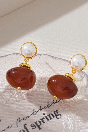 Vintage Tortoiseshell Drop Earrings - High-End French Style, Versatile Autumn & Winter Ear Accessories